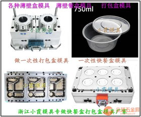 塑料模具 薄壁300ml保鮮盒模具行業領先10年