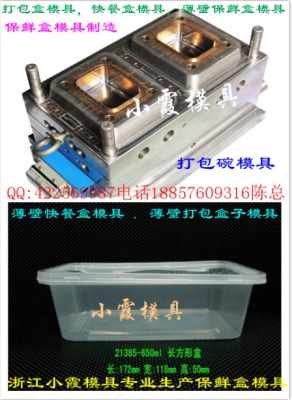 專業霸州注射模具工廠 一次性塑膠碗與薄壁打包盒模具制造專家